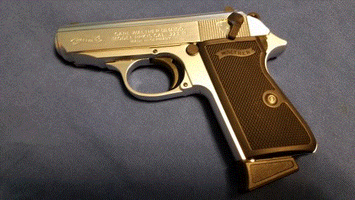 Walther ppk s 22.gif